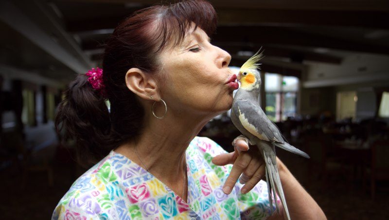 cropped-SierratheParrot_small.jpg