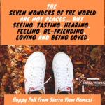The Seven Wonders of the World Are Not Places... But Seeing, Tasting, Hearing, Feeling, Be-Friending, Loving and Being Loved. Happy Fall from Sierra View Homes!