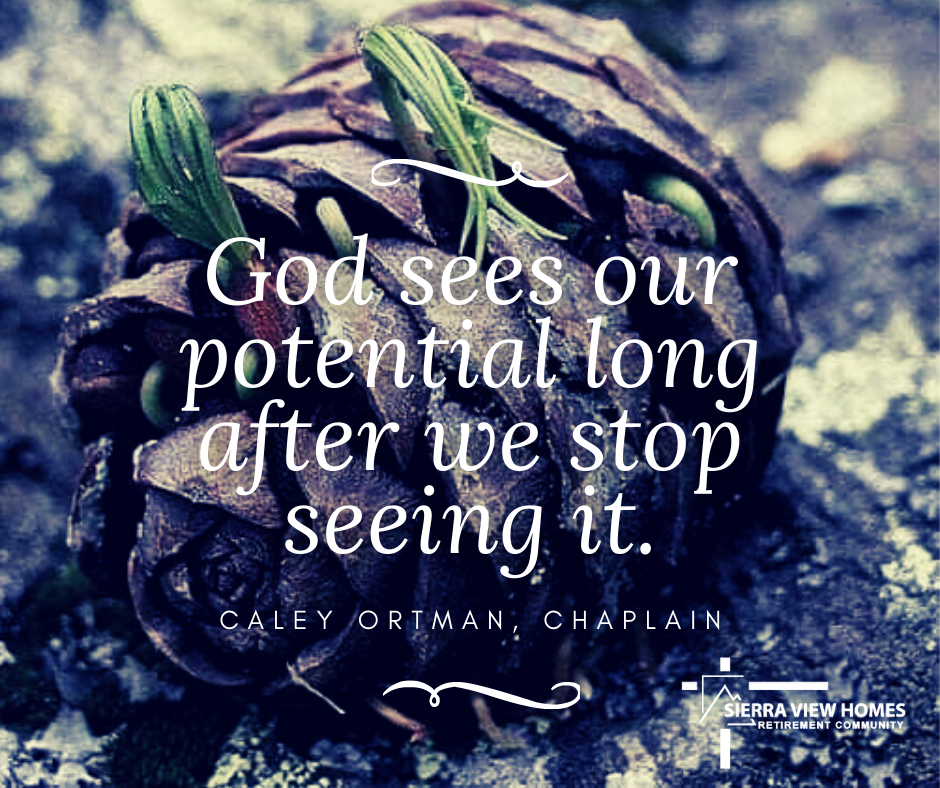 God sees our potential long after we stop seeing it. - Caley Ortman, chaplain