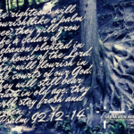 The righteous will flourish like a palm tree, they will grow like a cedar of Lebanon planted in the house of the Lord. They will flourish in he courts of our God. They will still bear fruit in old age. They will stay fresh and green. - Psalm 92:12-14
